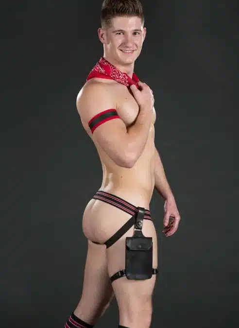 Mr. S Leather Jockstrap Holster Harness