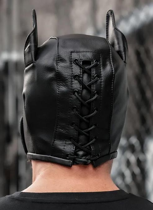 Mr. S Leather K9 Pup Hood Black