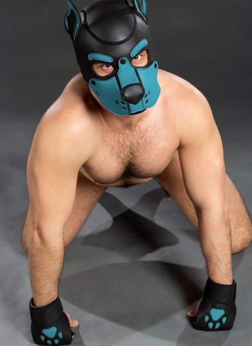 Mr. S Leather Open Paw Puppy Glove Aqua