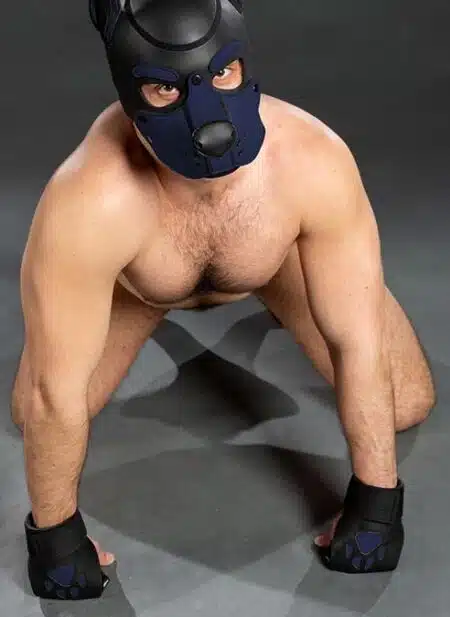 Mr. S Leather Open Paw Puppy Glove Navy