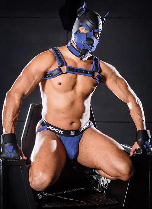 Mr. S Leather Open Paw Puppy Glove Royal blue