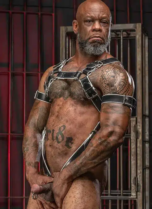 Mr. S Leather Piped Trojan Body Harness White