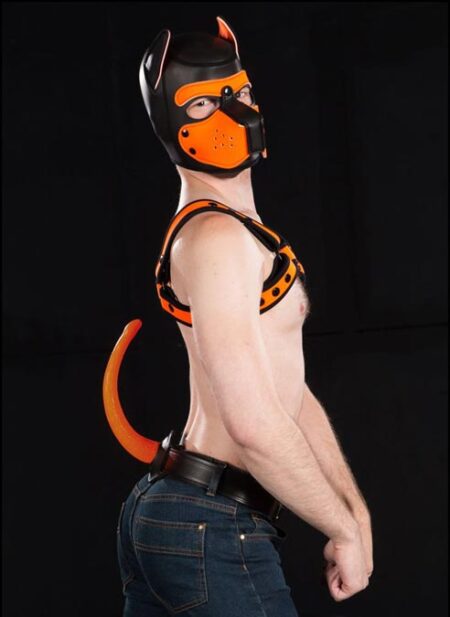 Mr. S Leather Show Tail Color