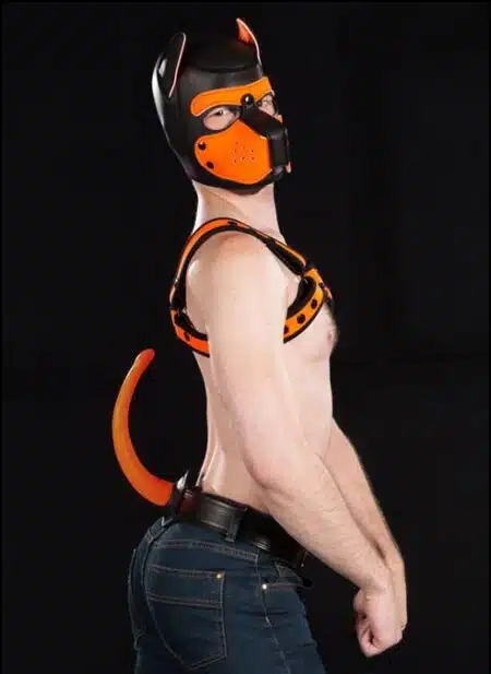Mr. S Leather Show Tail Color