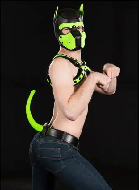 Mr. S Leather Show Tail Color