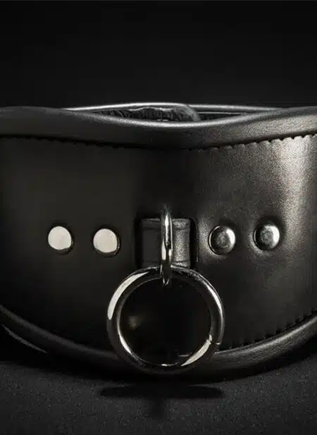 Mr. S Leather Simple Posture Collar