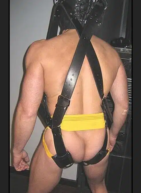 Mr. S Leather Suspension Harness