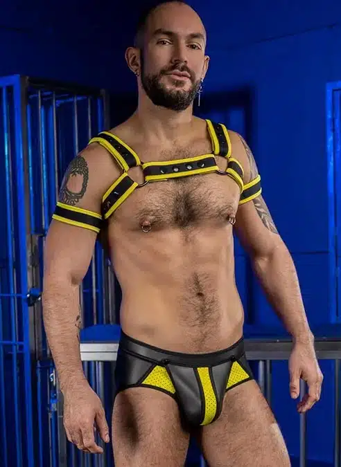 Mr. S Neo Air Mesh All Access Brief Yellow