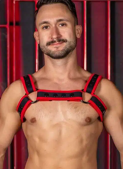 Mr. S Neo Carbon Black Bulldog Harness Red