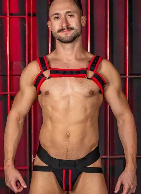 Mr. S Neo Carbon Black Bulldog Harness Red