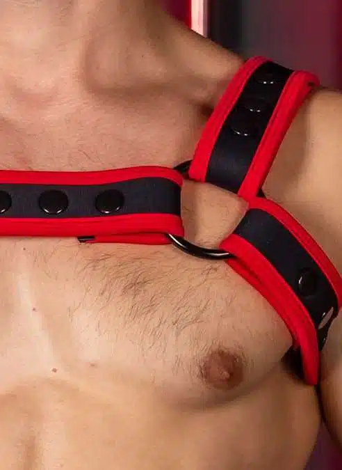 Mr. S Neo Carbon Black Bulldog Harness Red