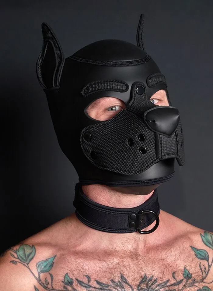 Mr. S Neo Carbon black Puppy Collar