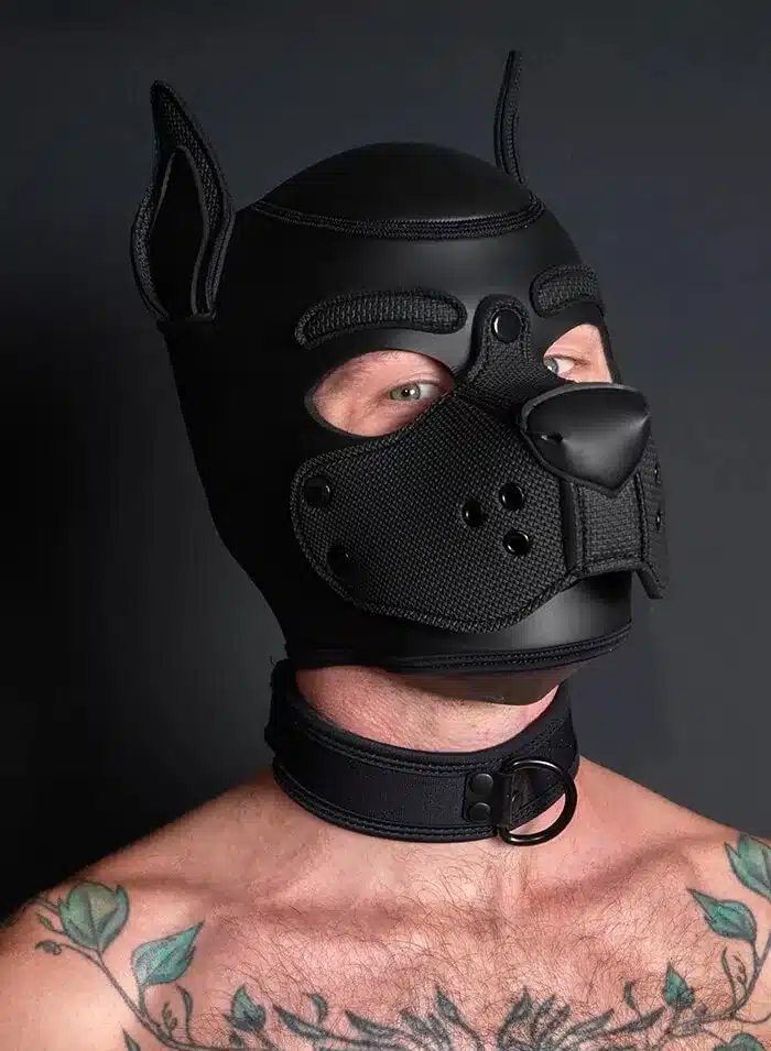 Mr. S Neo Carbon black Puppy Collar