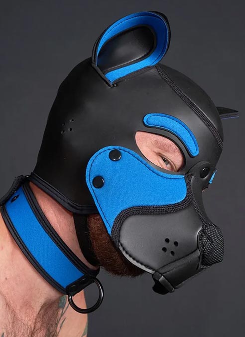 Mr. S Neo Frisky Pup Hood Cobalt Blue