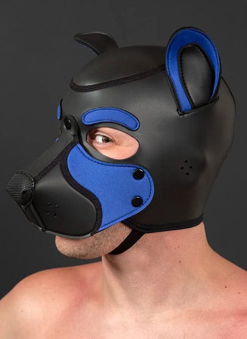 Mr. S Neo Frisky Pup Hood Royal blue