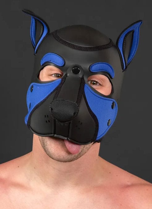 Mr. S Neo Frisky Pup Hood Royal blue