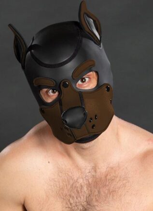 Mr. S Neo K9 Hood Brown