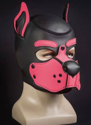 Mr. S Neo K9 Hood Pink