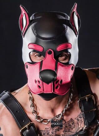 Mr. S Neo K9 Hood Pink