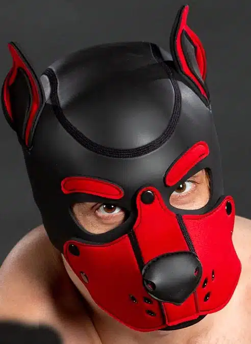 Mr. S Neo K9 Hood Red