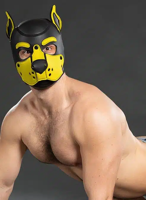 Mr. S Neo K9 Hood Yellow