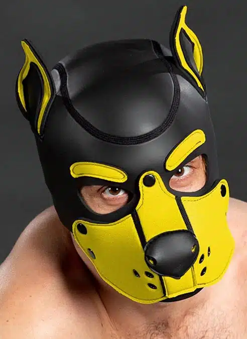 Mr. S Neo K9 Hood Yellow