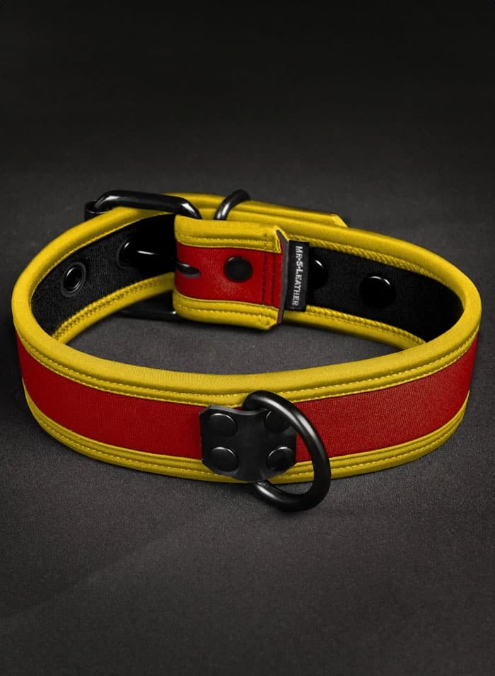 Mr. S Neoprene Puppy Collar: Custom Colors
