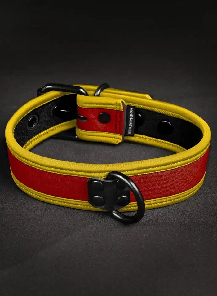 Mr. S Neoprene Puppy Collar: Custom Colors