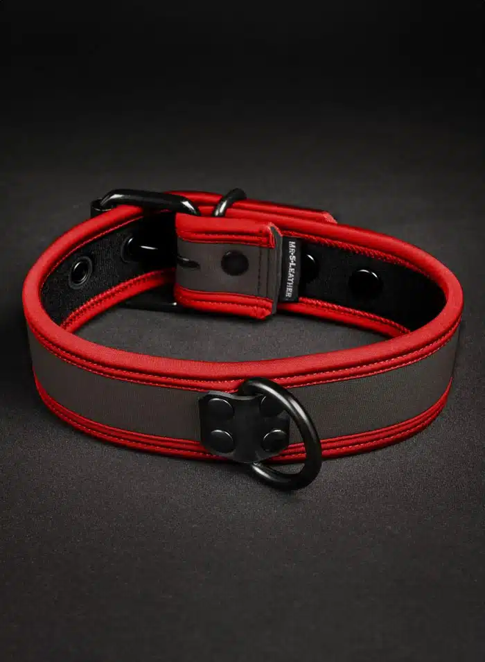 Mr. S Neoprene Puppy Collar: Custom Colors