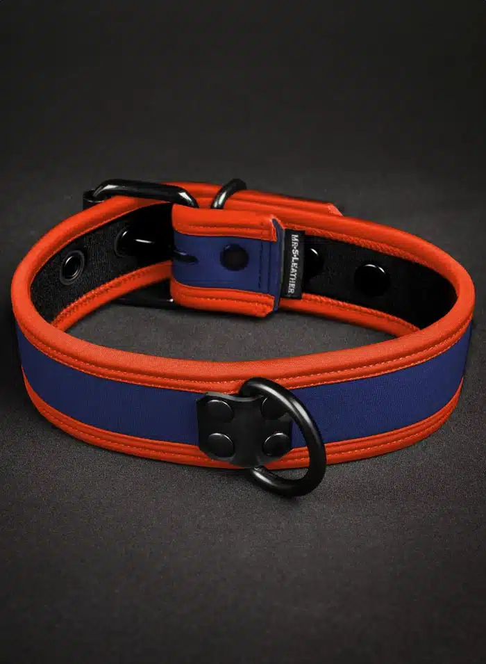 Mr. S Neoprene Puppy Collar: Custom Colors