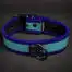 Mr. S Neoprene Puppy Collar: Custom Colors