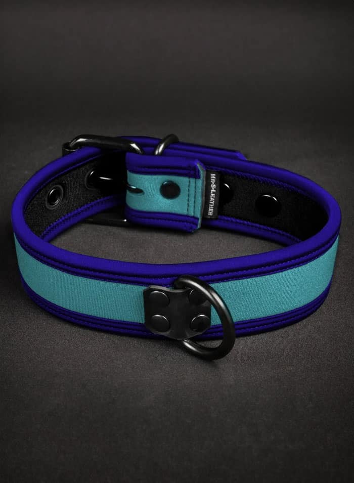 Mr. S Neoprene Puppy Collar: Custom Colors