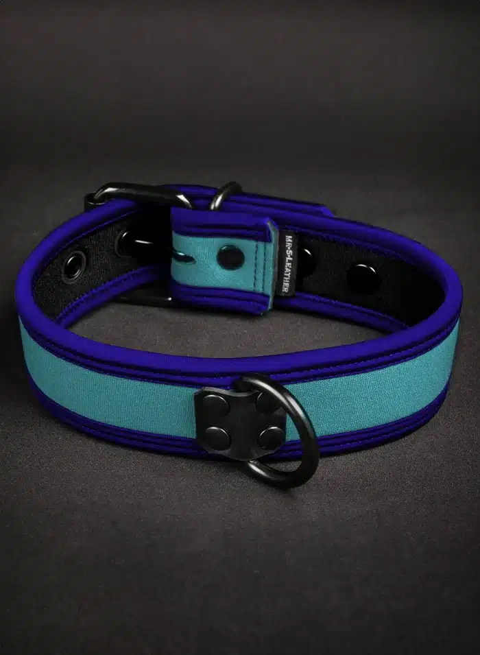 Mr. S Neoprene Puppy Collar: Custom Colors