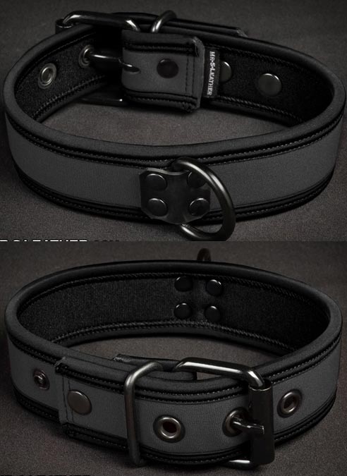 Mr. S Neoprene Puppy Collar Grey
