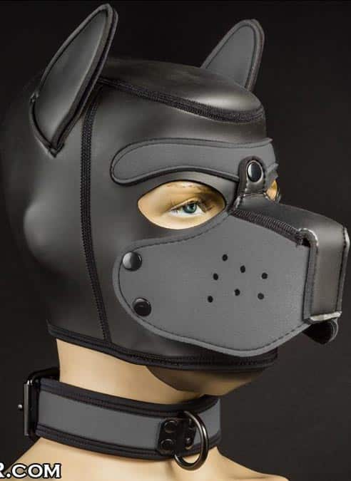 Mr. S Neoprene Puppy Collar Grey