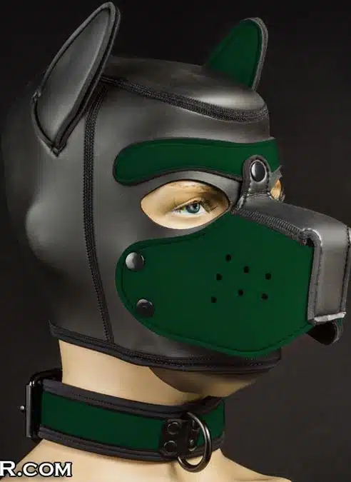 Mr. S Neoprene Puppy Collar Hunter