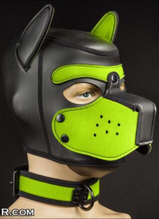 Mr. S Neoprene Puppy Collar Lime