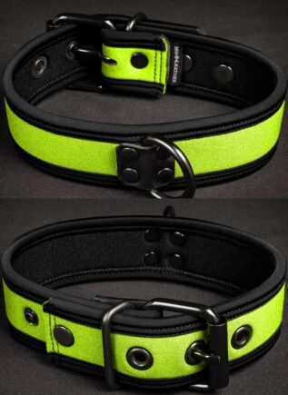 Mr. S Neoprene Puppy Collar Lime