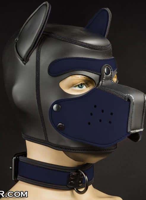 Mr. S Neoprene Puppy Collar Navy