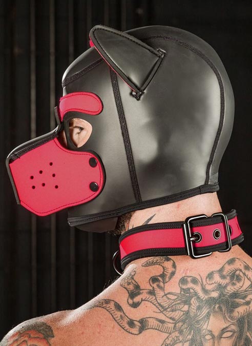 Mr. S Neoprene Puppy Collar Pink