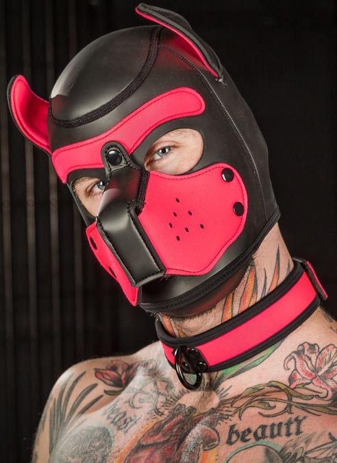 Mr. S Neoprene Puppy Collar Pink