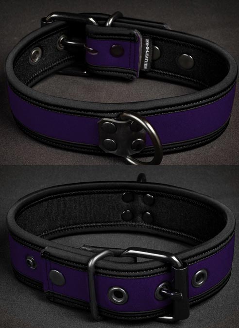 Mr. S Neoprene Puppy Collar Purple