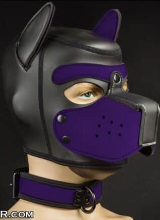 Mr. S Neoprene Puppy Collar Purple
