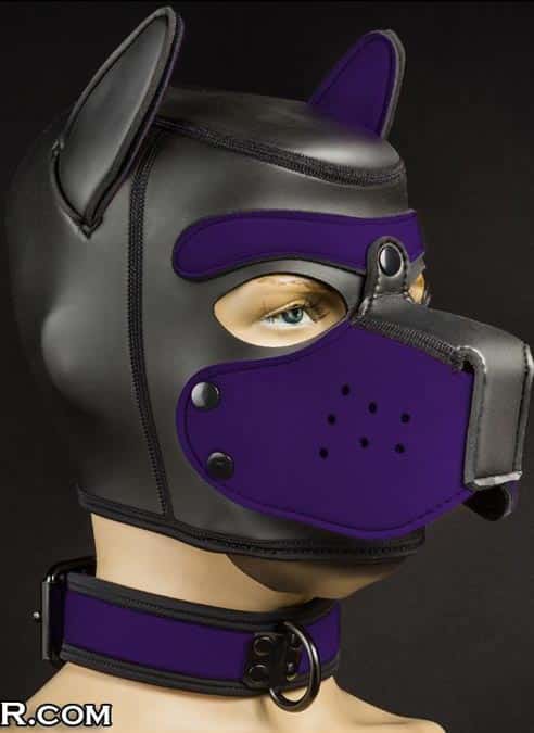 Mr. S Neoprene Puppy Collar Purple
