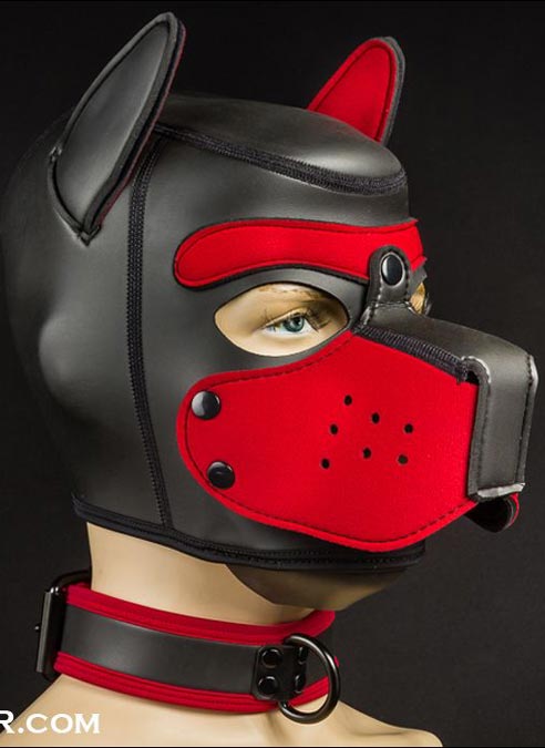 Mr. S Neoprene Puppy Collar Red piping