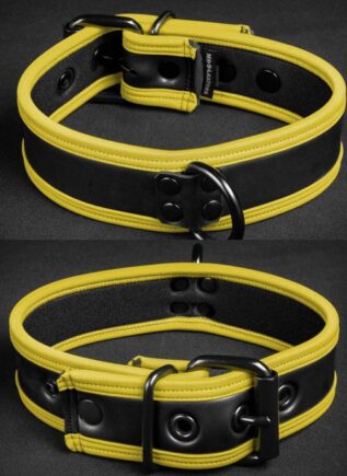Mr. S Neoprene Puppy Collar Yellow piping