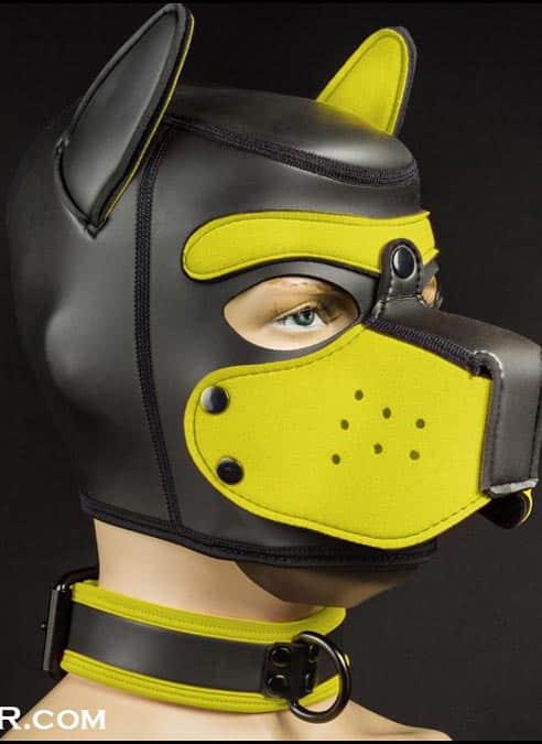 Mr. S Neoprene Puppy Collar Yellow piping