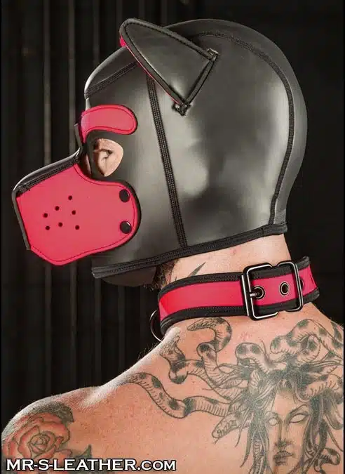 Mr. S Neoprene Puppy Hood Pink