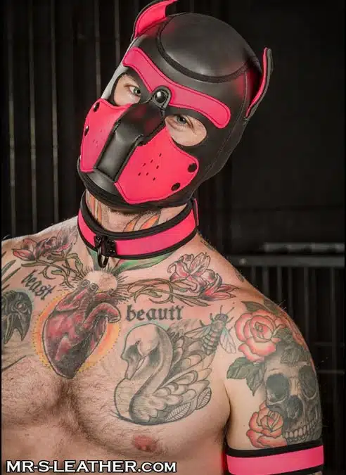 Mr. S Neoprene Puppy Hood Pink