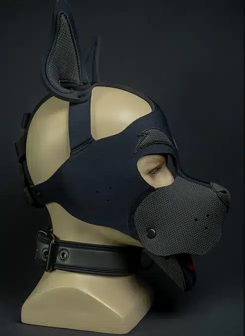 Mr. S Neoprene WOOF! Head Harness Black